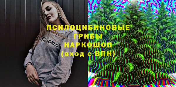 ГАЛЛЮЦИНОГЕННЫЕ ГРИБЫ Алзамай