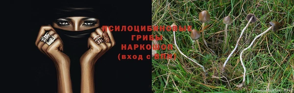 МДПВ Арсеньев